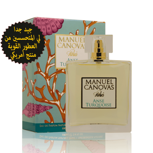 آنس الفيروز  Anse Turqouise